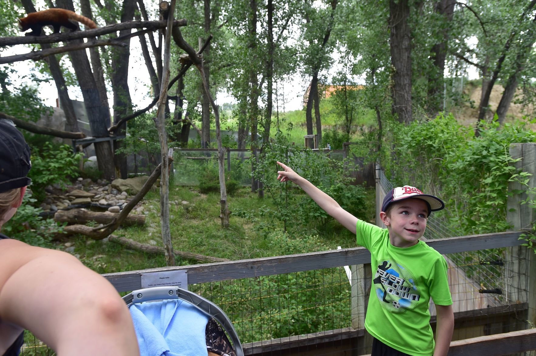 Best Place for Family Fun — ZooMontana